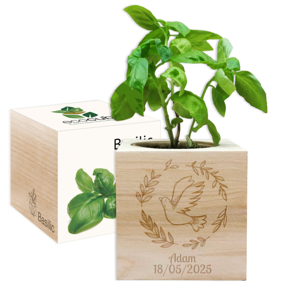 EcoCube gravírozott galambkeresztelés EcoCube gravírozott galambkeresztelés