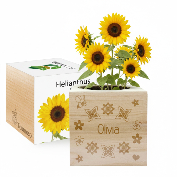 EcoCube személyre szabott Keresztnév EcoCube személyre szabott Keresztnév