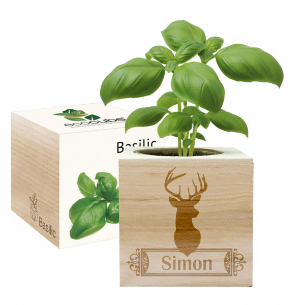 EcoCube személyre szabott Szarvas EcoCube személyre szabott Szarvas