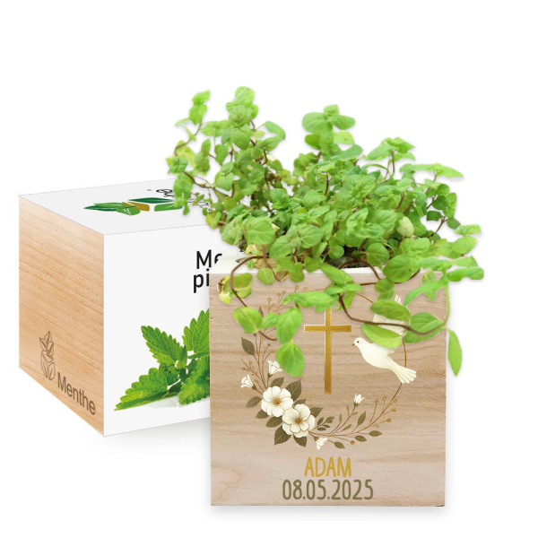 Nyomtatott EcoCube keresztelő galamb Nyomtatott EcoCube keresztelő galamb