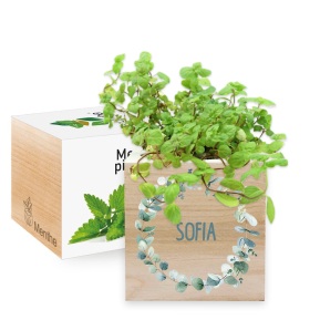 Nyomtatott EcoCube növényi korona Nyomtatott EcoCube növényi korona