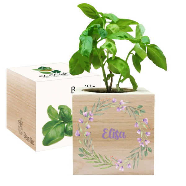 Nyomtatott EcoCube Növényi korona Nyomtatott EcoCube Növényi korona