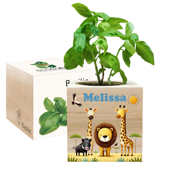 Nyomtatott EcoCube Szafari Nyomtatott EcoCube Szafari