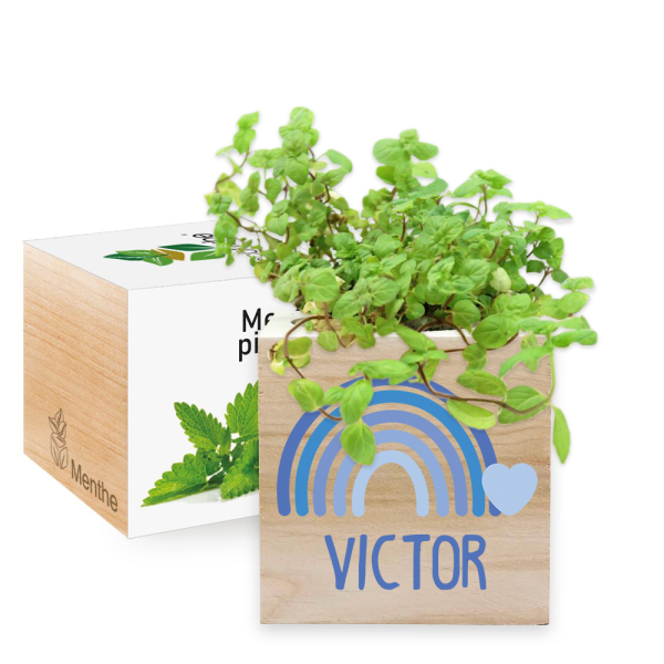 Nyomtatott EcoCube Szivárvány Nyomtatott EcoCube Szivárvány