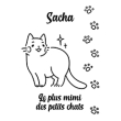 Macska