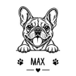 Francia bulldog