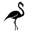 Flaming&oacute;