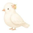 Galamb
