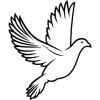 Galamb