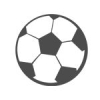 Foci