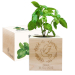 EcoCube gravírozott galambkeresztelés EcoCube gravírozott galambkeresztelés