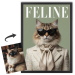 FELINE magazin címlapja egy fotó alapján FELINE magazin címlapja egy fotó alapján