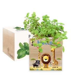 Nyomtatott EcoCube Szafari
