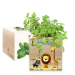 Nyomtatott EcoCube Szafari Nyomtatott EcoCube Szafari