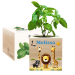 Nyomtatott EcoCube Szafari Nyomtatott EcoCube Szafari