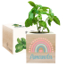 Nyomtatott EcoCube Szivárvány Nyomtatott EcoCube Szivárvány